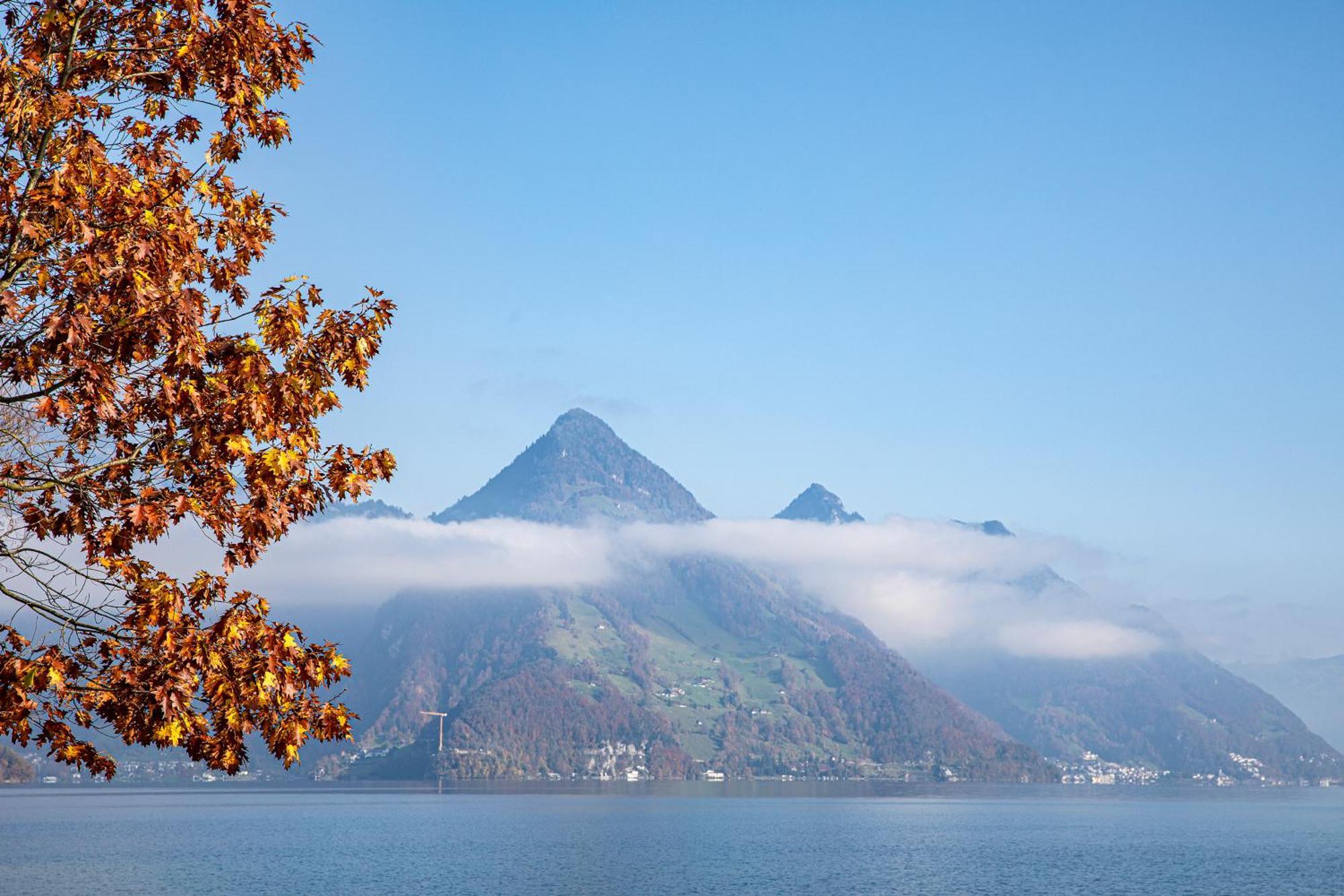 Rigiblick Am See บูออคซ์ ภายนอก รูปภาพ